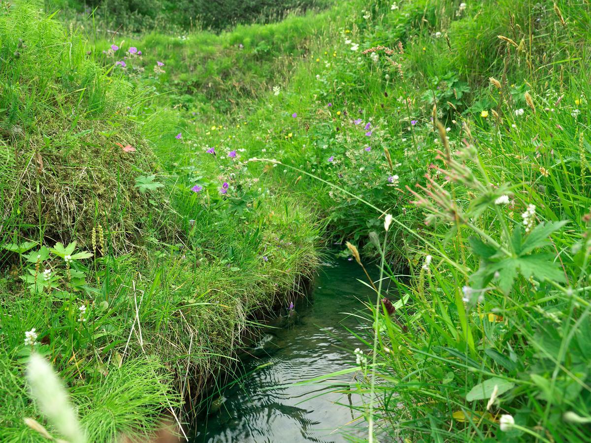 Hrifunes Nature Park Kültér fotó